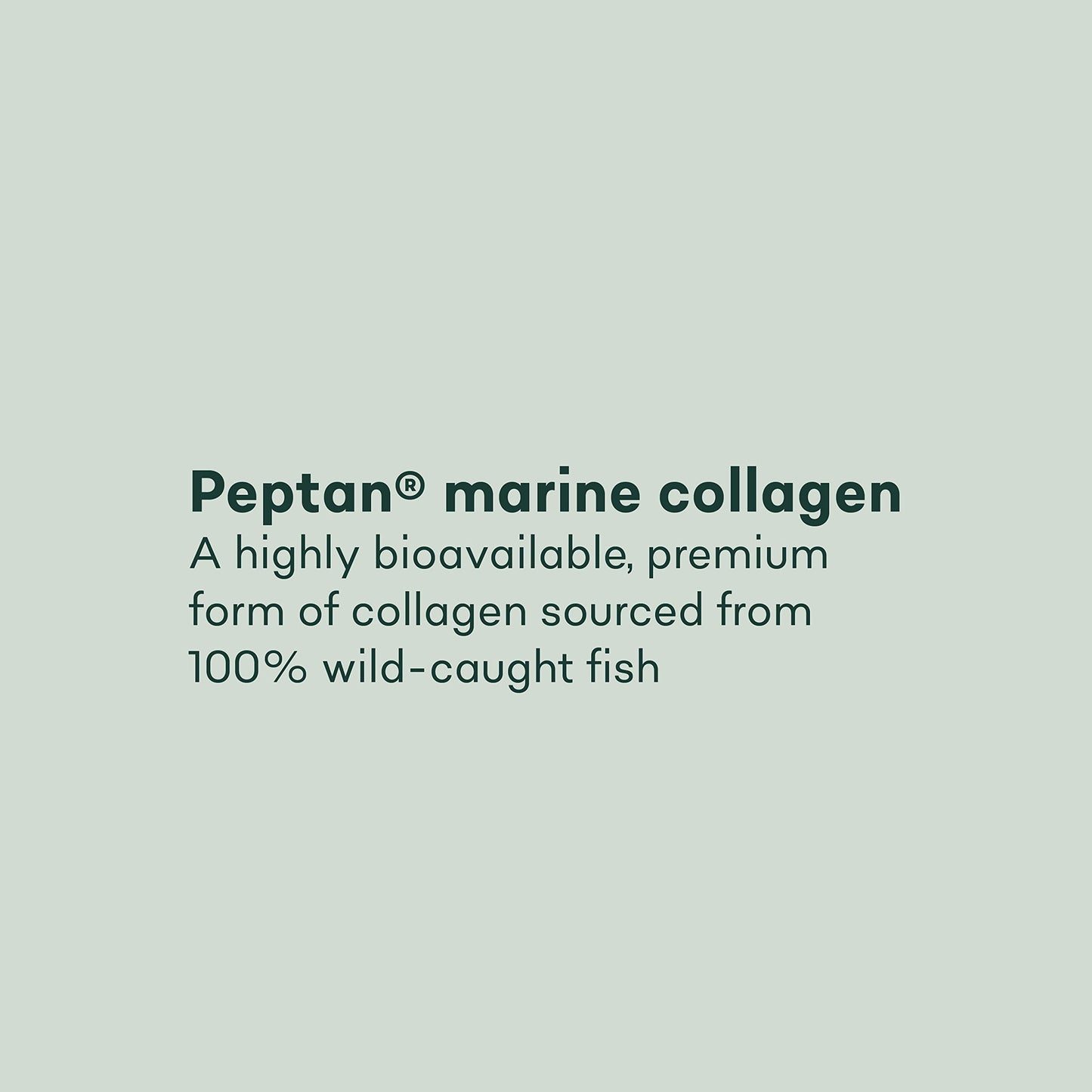 Pure Collagen Tablets - High Strength 1000mg Peptan Marine Collagen Supplements - Collagen Powder