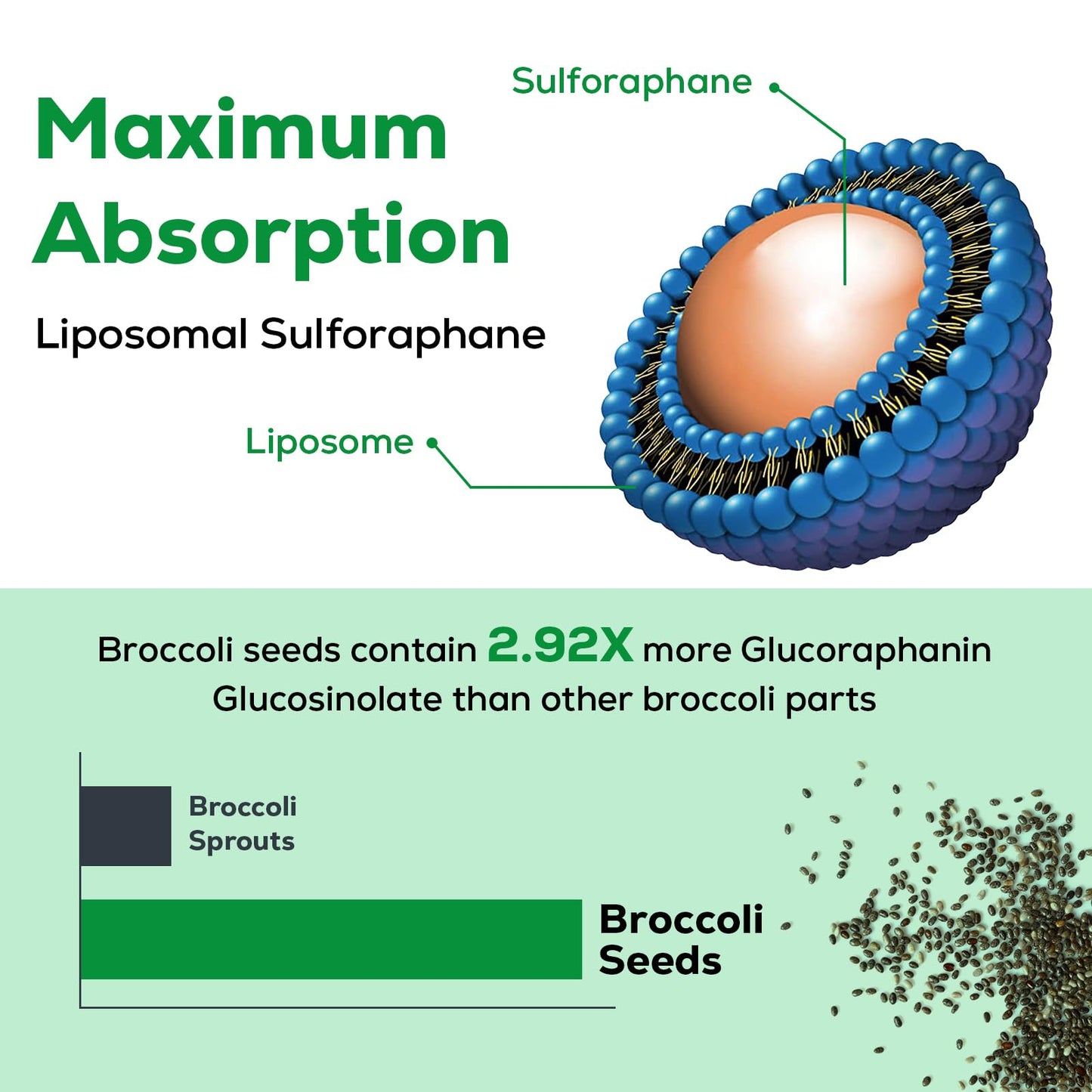 Osasuna Liposomal Sulforaphane 450MG, Maximum Absorption, Glucoraph