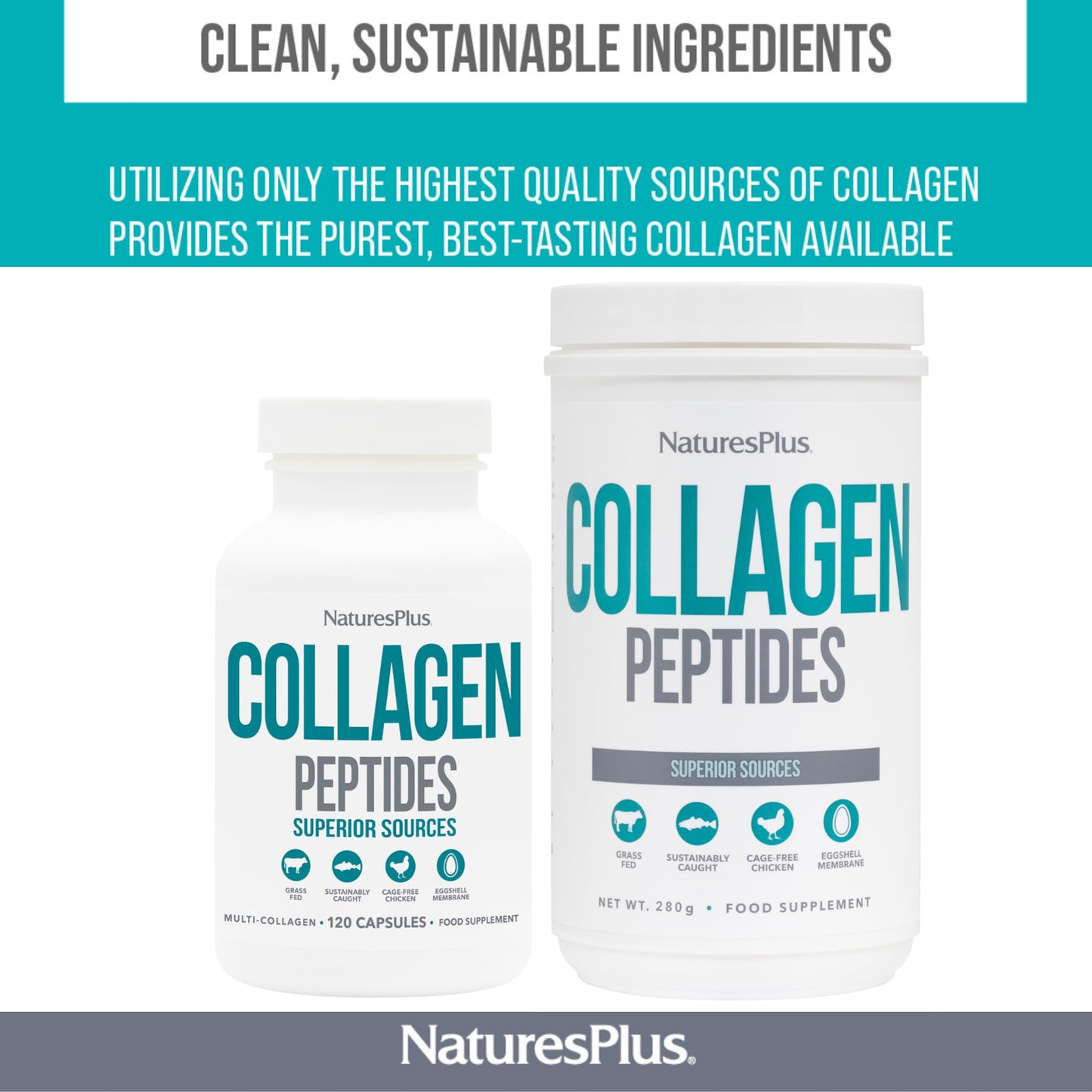 NaturesPlus Collagen Peptides Powder - Premium Hydrolysed Collagen Supplement, 6 Major Types