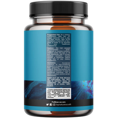 Nootropics Brain Support Supplement - Mental Focus Nootropic Memory Supplement