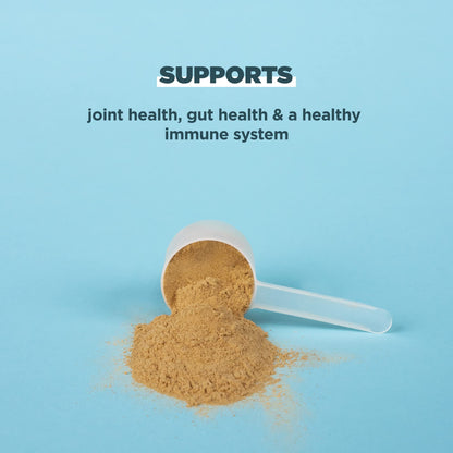 Ancient Nutrition Protein Powder Made from Real Bone Broth, Chocolate, 20g Protein