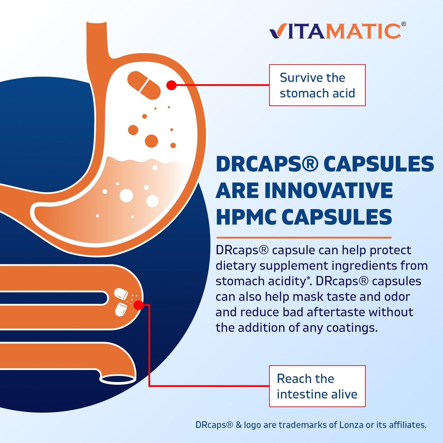 Vitamatic Lactobacillus Salivarius 2 Billion per DR Capsule - 60 Count - Digestive Support