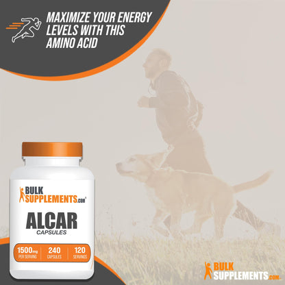 BULKSUPPLEMENTS.COM Acetyl L-Carnitine Capsules - ALCAR HCl, Carnitine Supplement