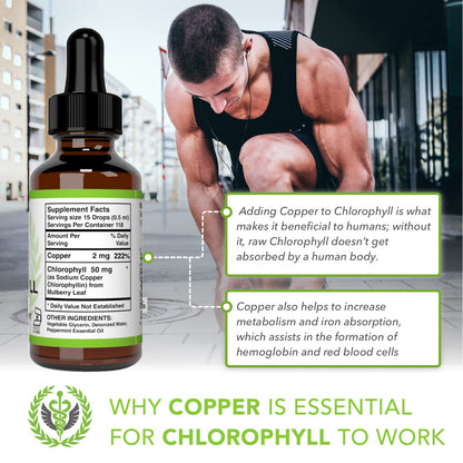 Benevolent Chlorophyll Liquid Drops - 100% Natural + 4X Potency Concentration for Energy