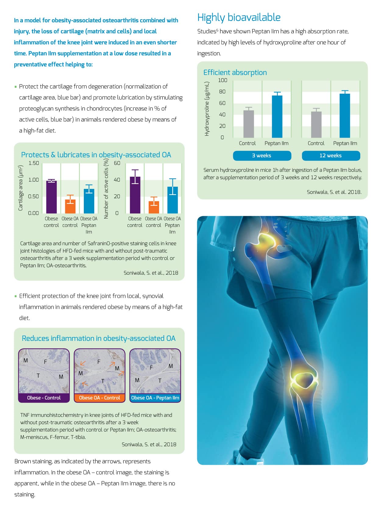 New: Colartix™ Collagen - 120 Capsules - Joint Specific Type II Collagen from Cartilage - Hydrolysed Collagen