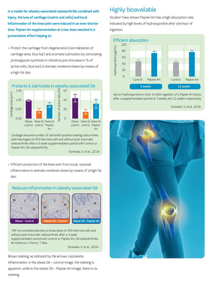 New: Colartix™ Collagen - 120 Capsules - Joint Specific Type II Collagen from Cartilage - Hydrolysed Collagen