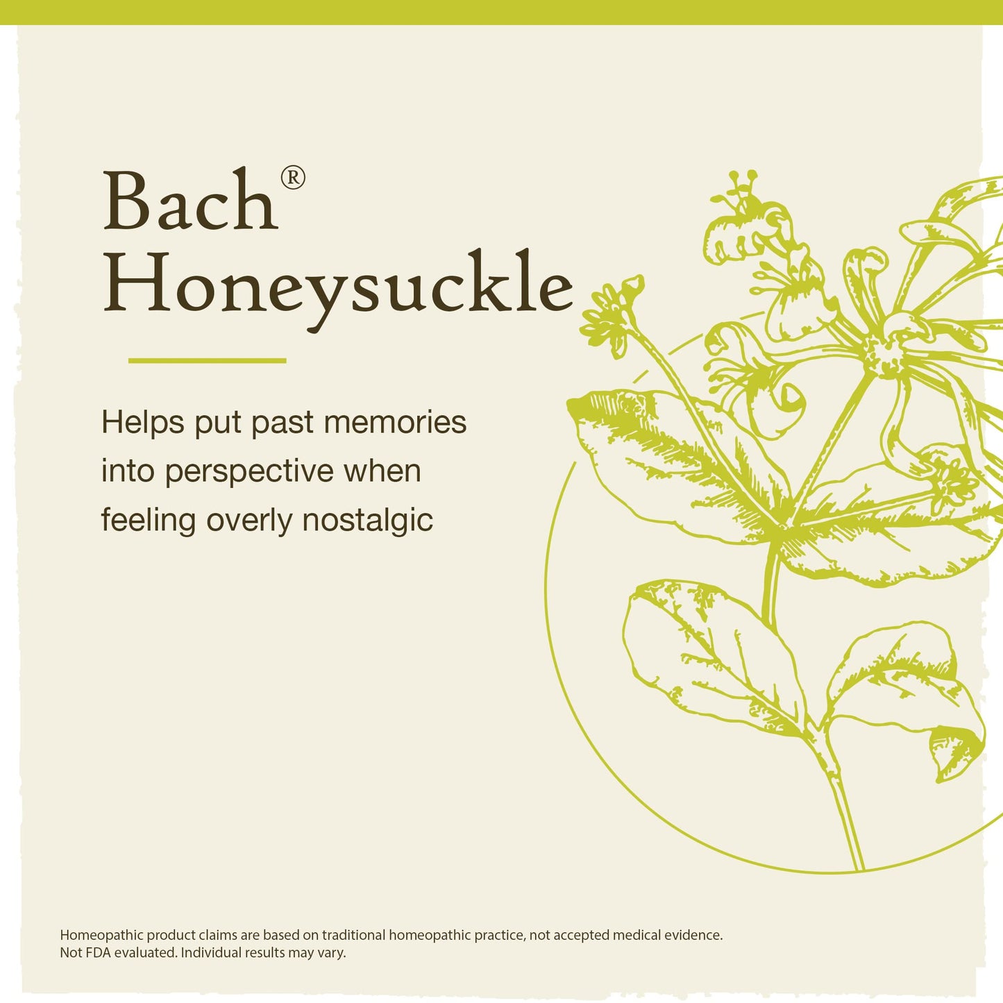 Bach Original Flower Remedies, Honeysuckle for Embracing The Now (Non-Alcohol Formula)