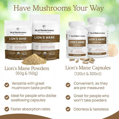 Lions Mane Mushroom Cognition Capsules (120 Capsules) Lions Mane Mushroom Powder