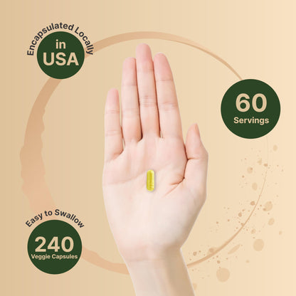 Berberine Supplement 500mg Per Capsule (2,000mg Per Serving) | 240 Veggie Capsules