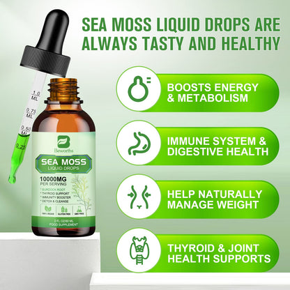 B BEWORTHS Sea Moss Liquid Drops - Organic Irish Sea Moss Gel with Burdock Root