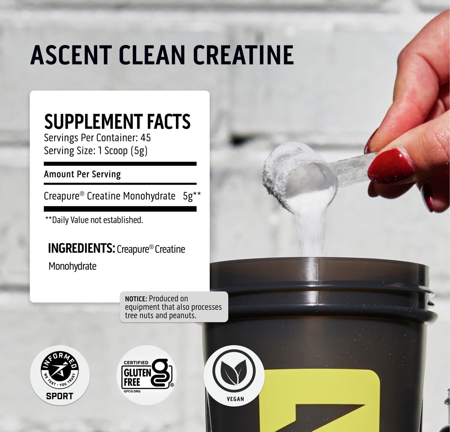 Ascent Clean Creatine Monohydrate Powder - 5G Per Serving, Creapure Creatine Supple