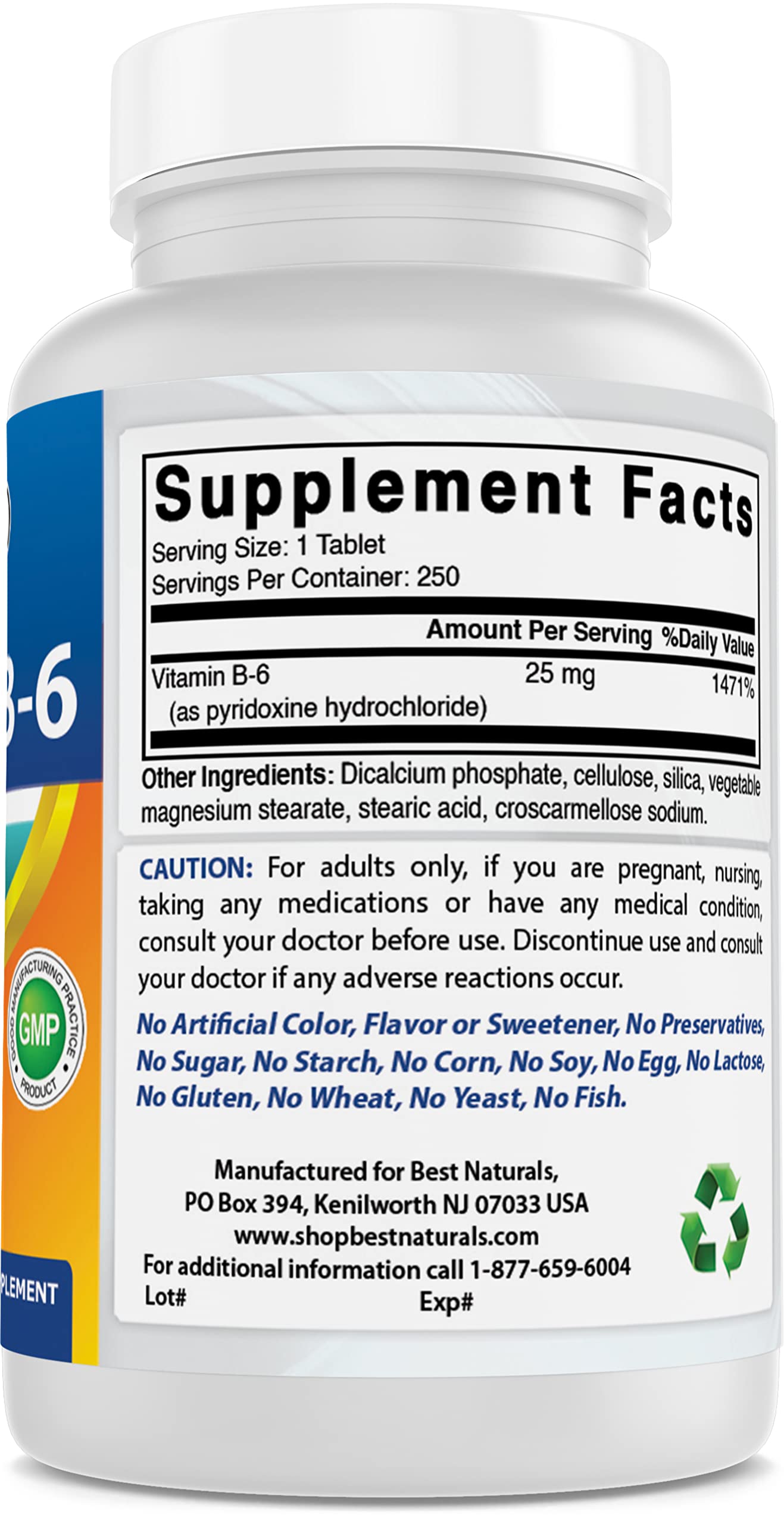 Best Naturals Vitamin B6 25mg 250 Tablets (250 Count (Pack of 2))