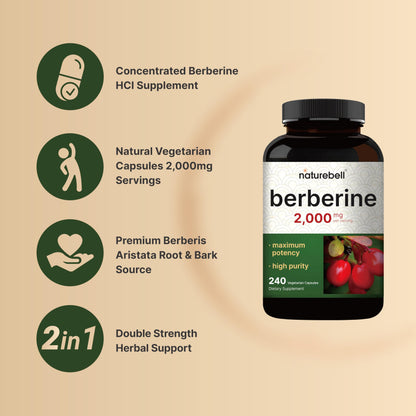 Berberine Supplement 500mg Per Capsule (2,000mg Per Serving) | 240 Veggie Capsules