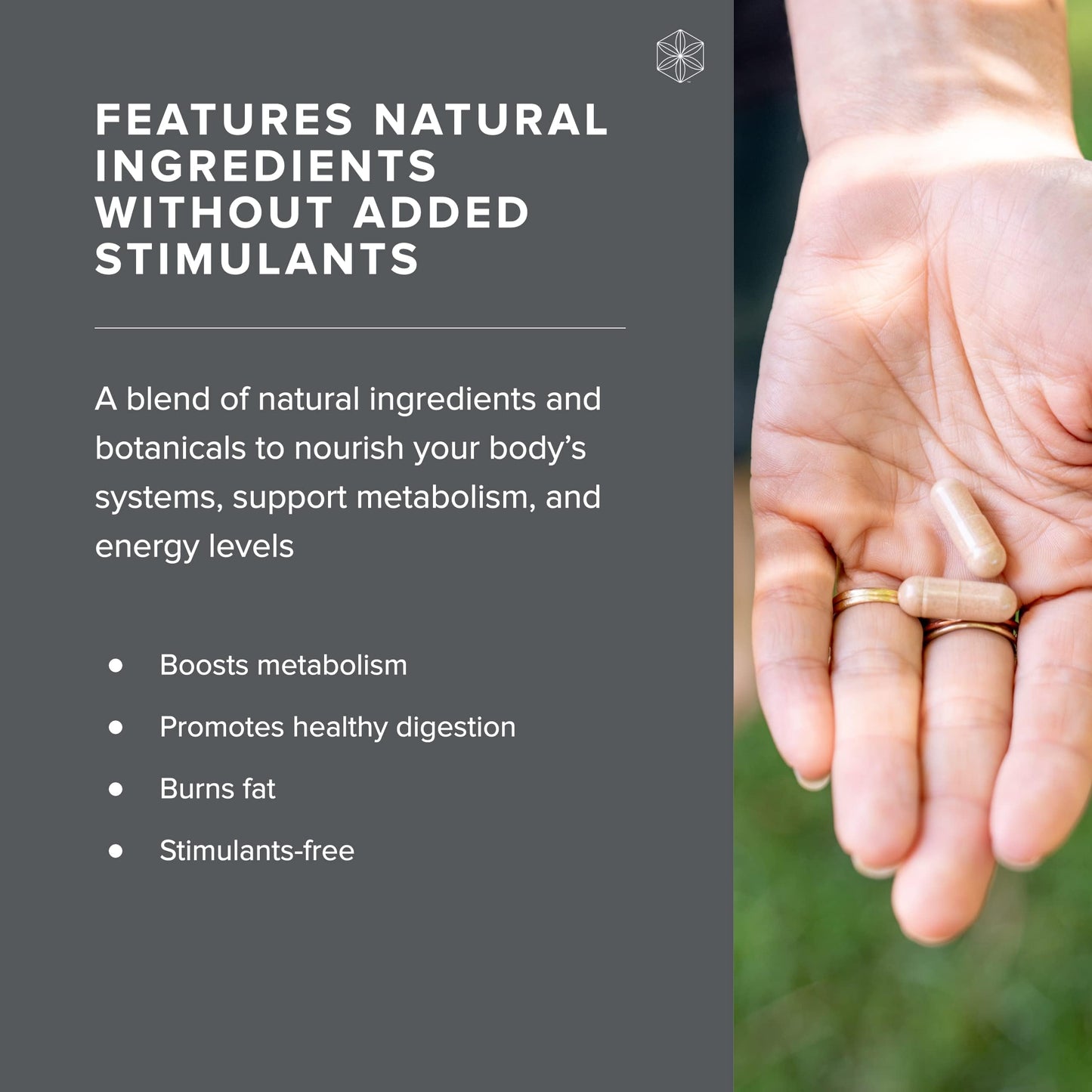 Isagenix Natural Accelerator New Blend Supports Enhanced Metabolism Features Sinetrol