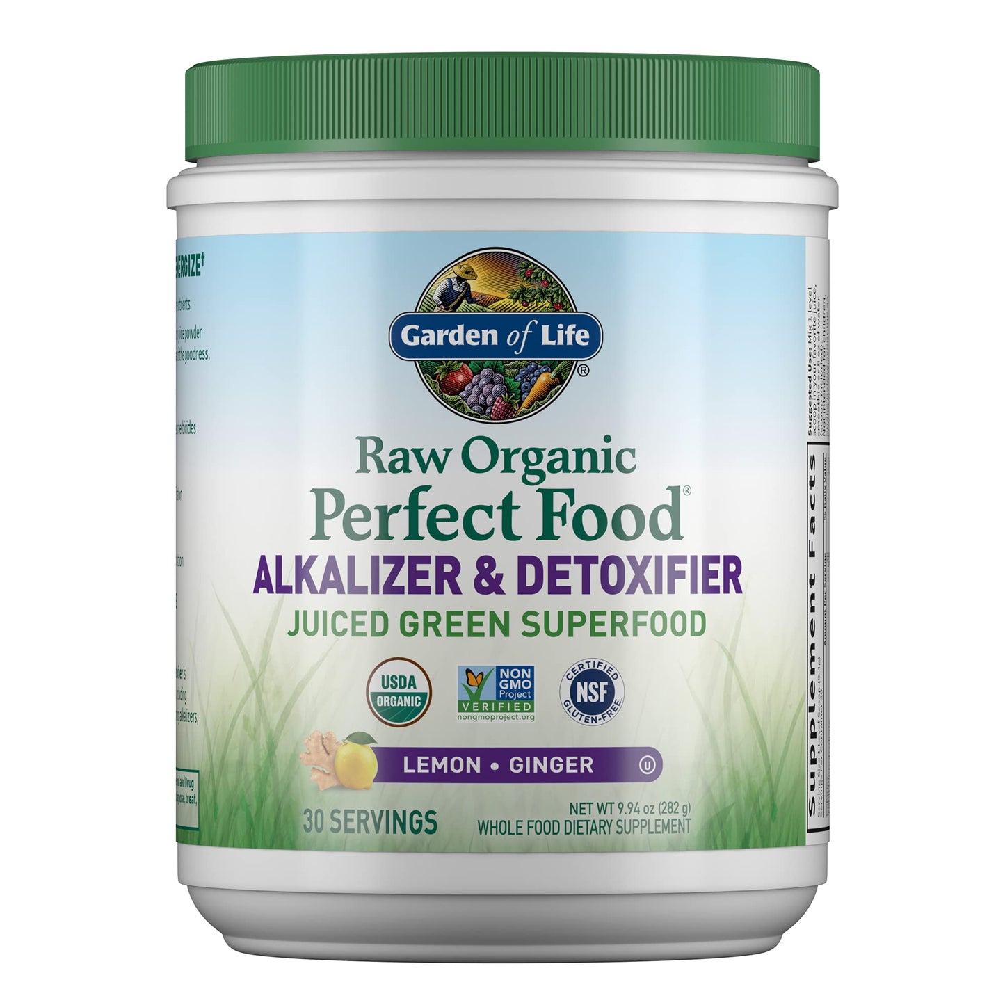 Garden of Life Raw Organic Perfect Food Alkalizer & Detoxifier Juiced Greens Superfood