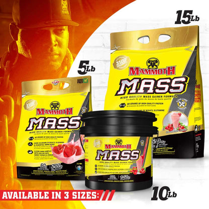 Inter-Active Nutrition Mammoth Mass Supplement, 2.27kg Strawberry