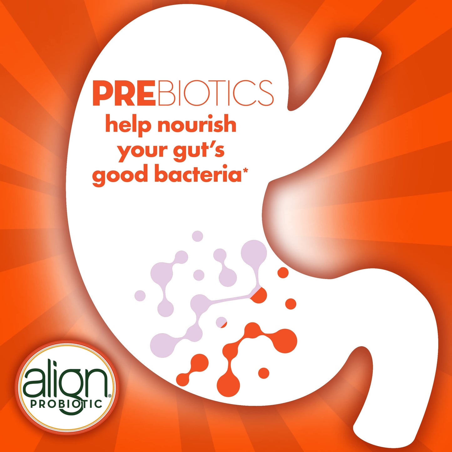 Align Digestive Health Prebiotic + Probiotic Supplement Gummies in Natural Fruit Flavors