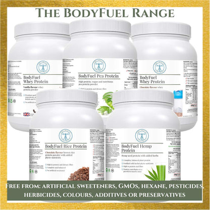 Complementary Supplements - BodyFuel Hemp Protein Powder Plus 14 Superfoods & Phytonutrients