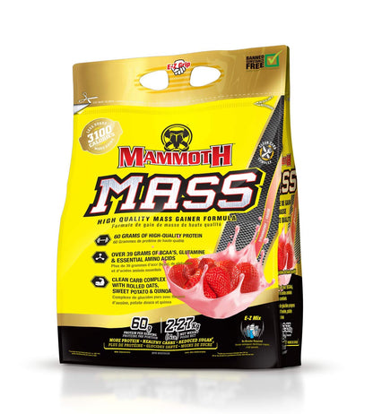 Inter-Active Nutrition Mammoth Mass Supplement, 2.27kg Strawberry Success