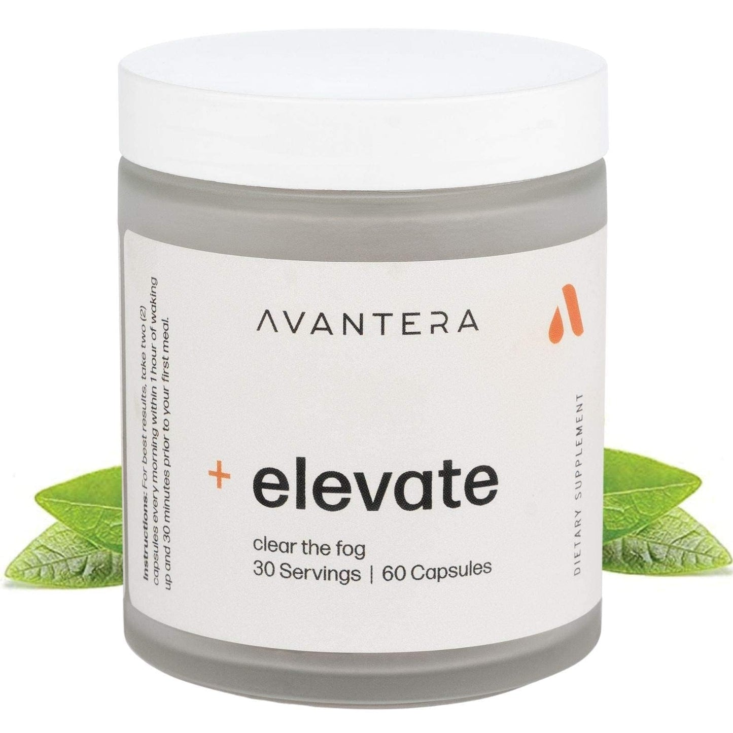 Avantera Premium Nootropic, Elevate | Energy, Focus, Mood, & Gut Health | 30 Day Supply