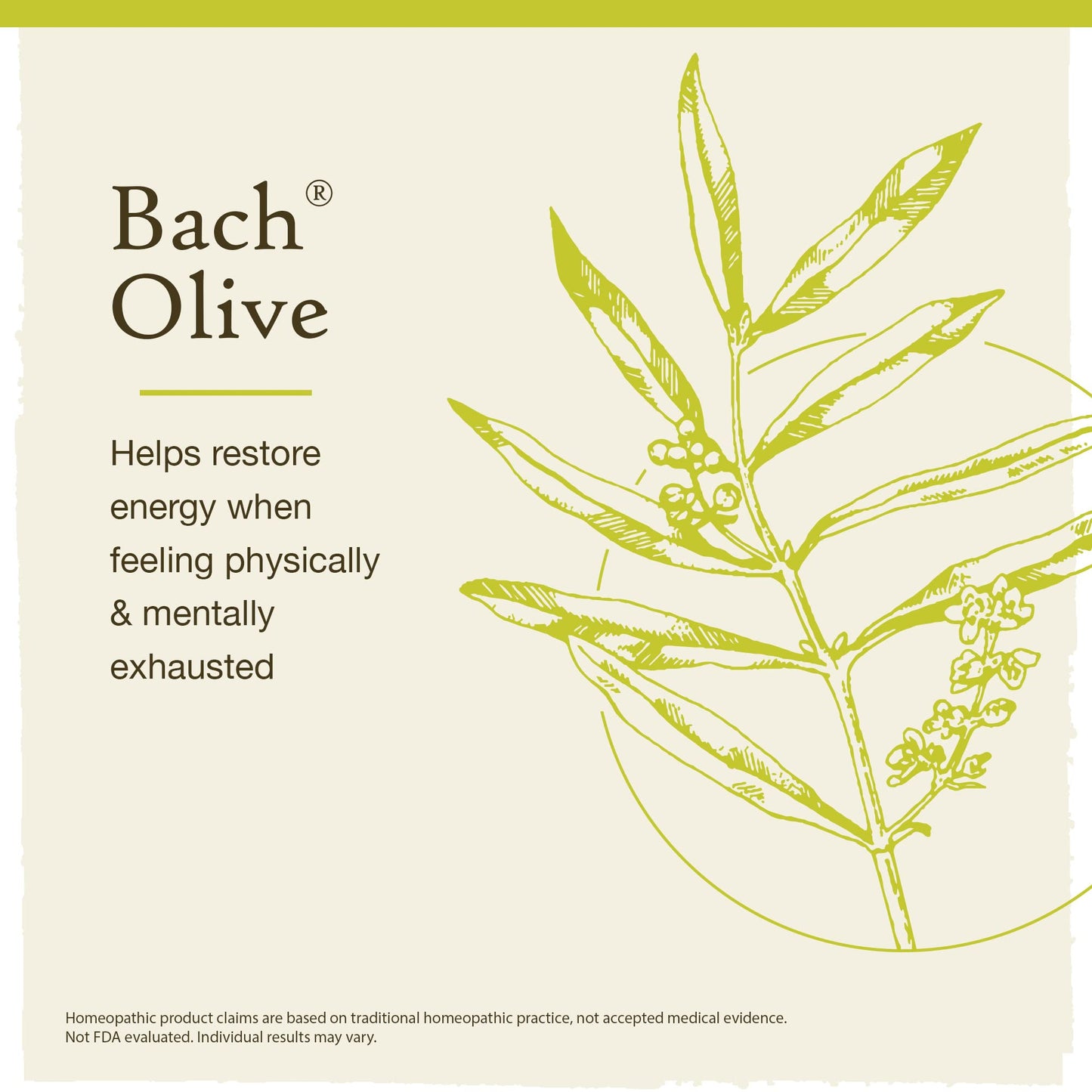 Bach Original Flower Remedies, Olive for Energy (Non-Alcohol Formula), Natural Homeopathic Flower