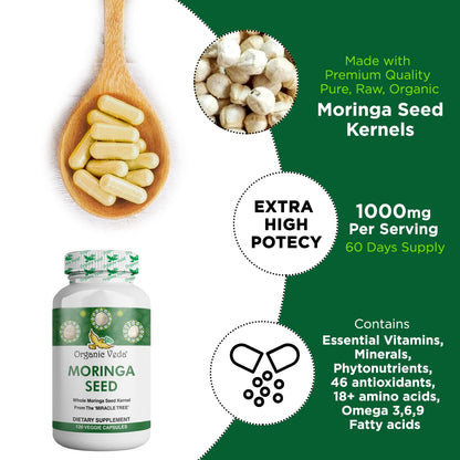 Organic Veda Moringa Seed Capsules - Pure Organic Moringa Capsules Seed Powder