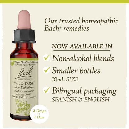 Bach Original Flower Remedies, Wild Rose for Enthusiasm (Non-Alcohol Formula), Natural Homeopathic