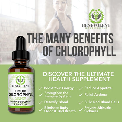 Benevolent Chlorophyll Liquid Drops - 100% Natural + 4X Potency Concentration for Energy