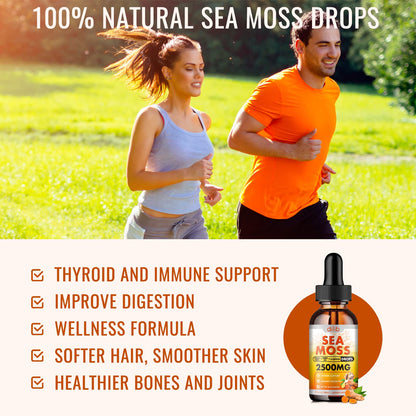 Sea Moss Liquid Drops: Organic Irish Sea Moss 2500mg with Turmeric, Bladderwrack