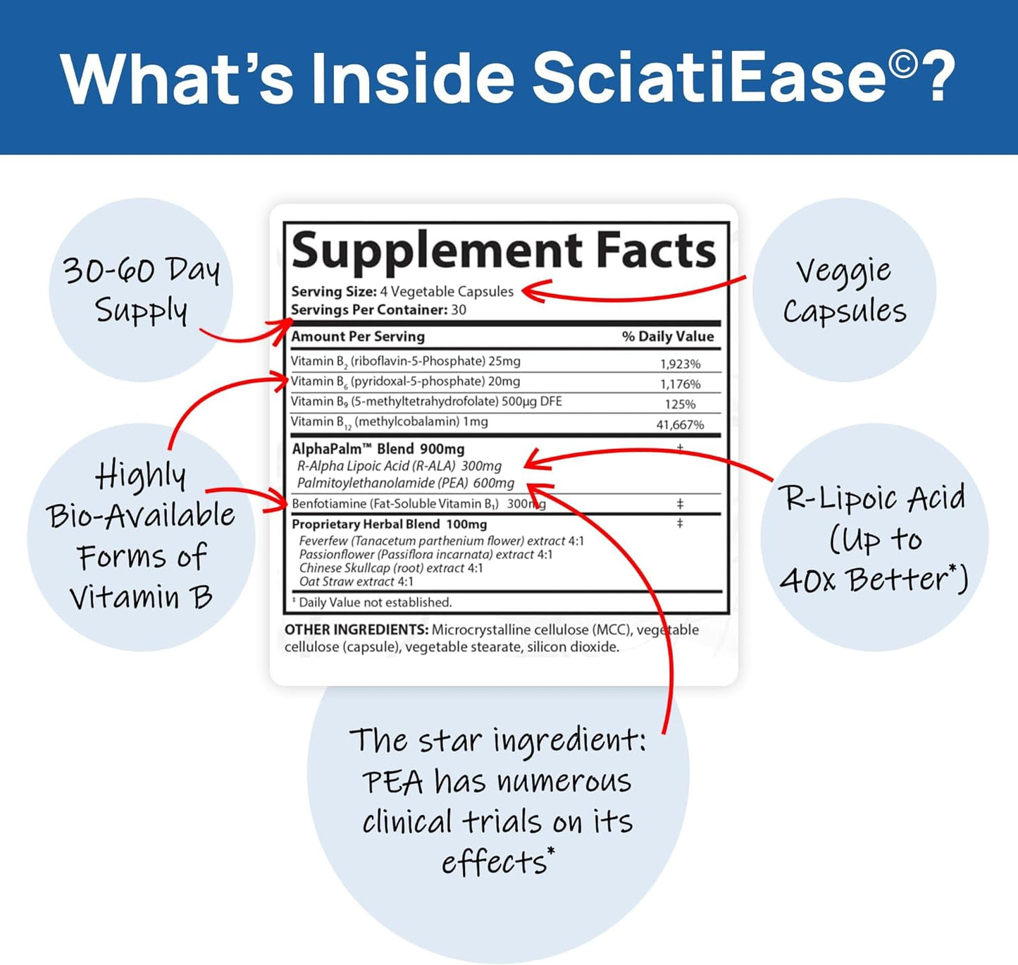 SciatiEase Sciatic Nerve Health Support Sciatic Nerve Supplement