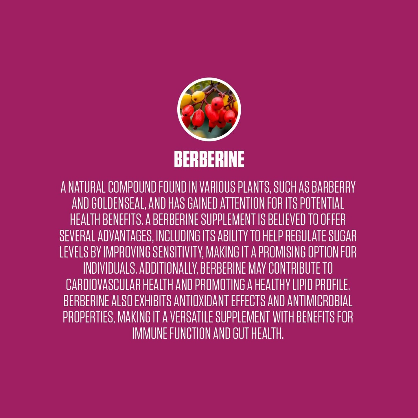 Berberine Extra Strength | #1 Rated Berberine Supplement for Heart Health, Improve Energy