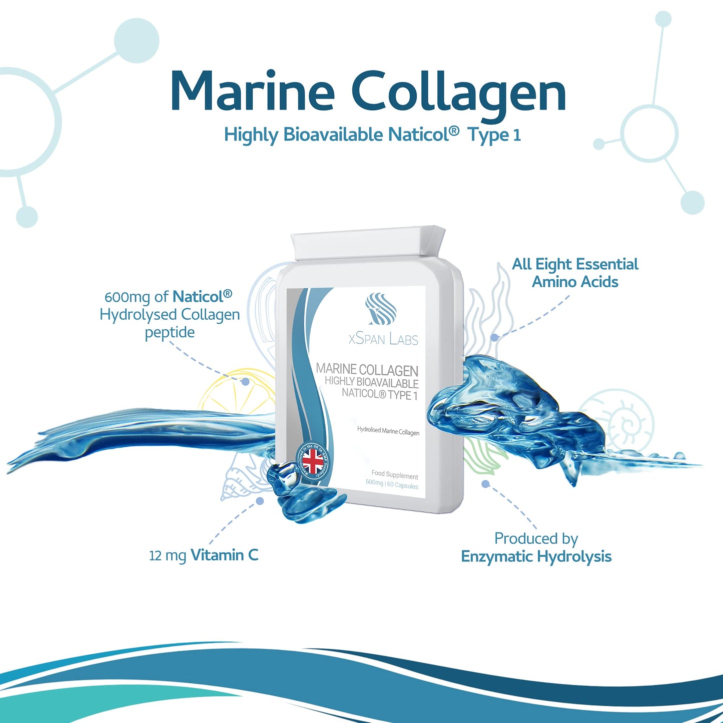 Marine Collagen 600mg 60 Capsules - Highly Bioavailable Naticol® Type 1