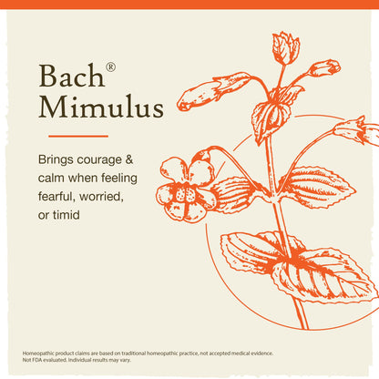 Bach Original Flower Remedies, Mimulus for Facing Fears (Non-Alcohol Formula), Natural Homeopathic