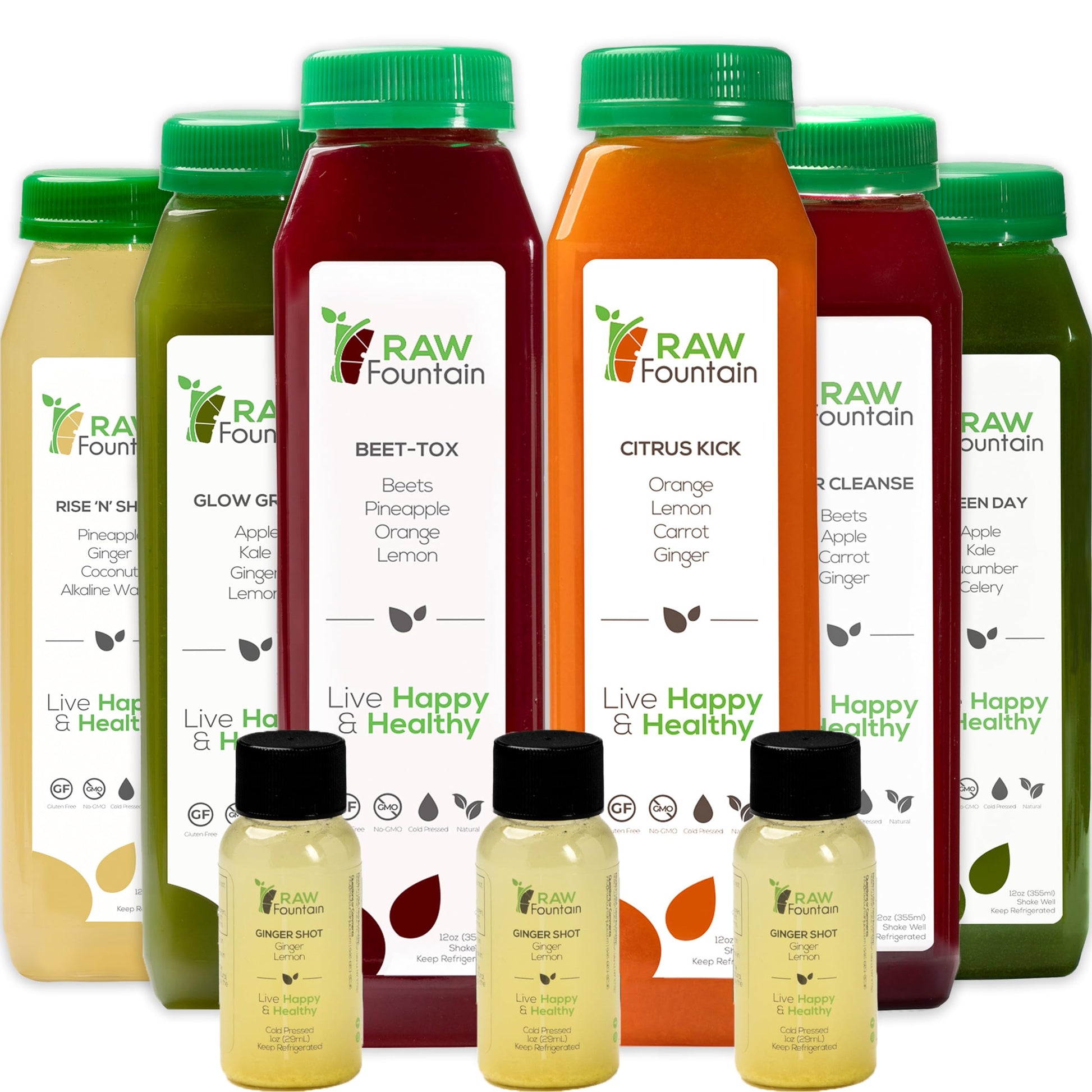 Raw Fountain 1 Day Juice Cleanse, All Natural Detox Cleanse, Cold Presssed Fruit 