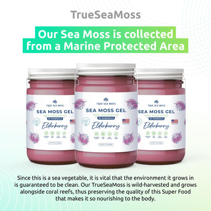 TrueSeaMoss Wildcrafted Irish Sea Moss Gel – Nutritious Organic Raw Seamoss Rich