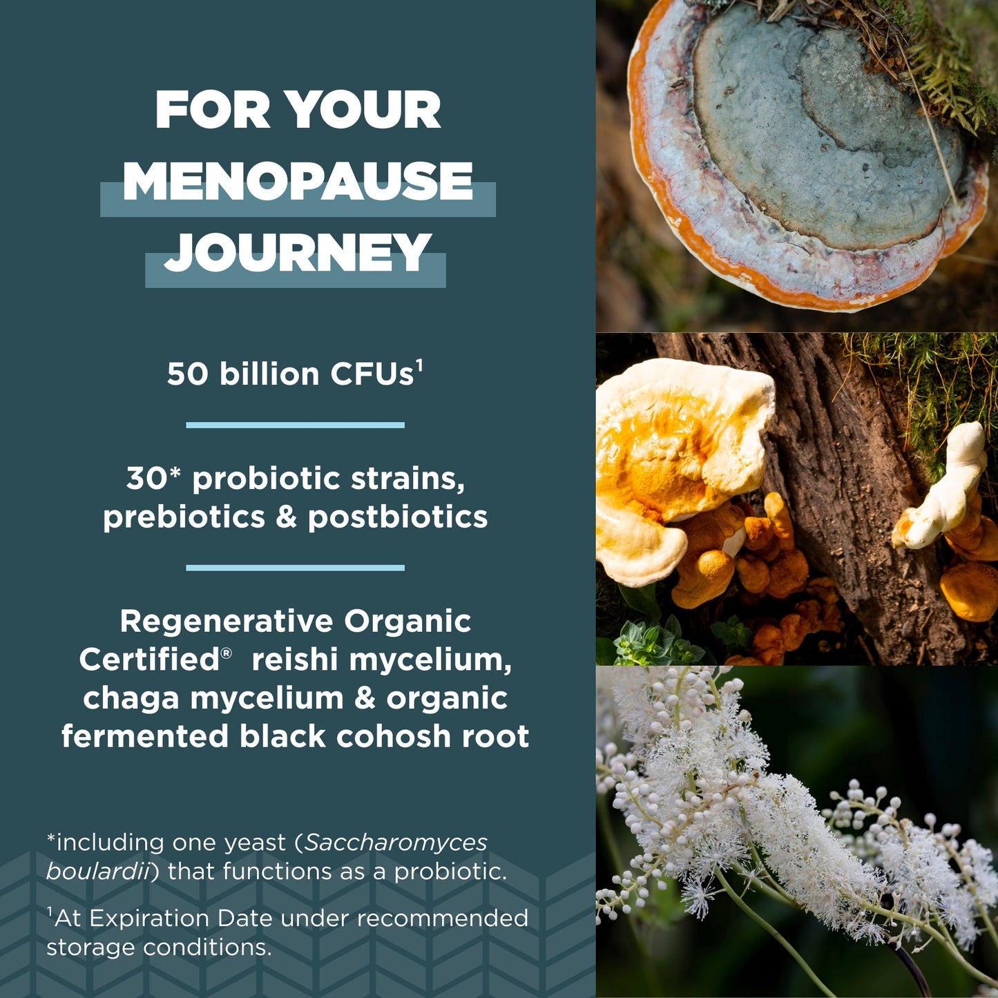 Ancient Nutrition Regenerative Organic Certified Probiotics for Menopause Support