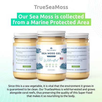 TrueSeaMoss Wildcrafted Irish Sea Moss Gel – Nutritious Raw Seamoss Rich in Minerals