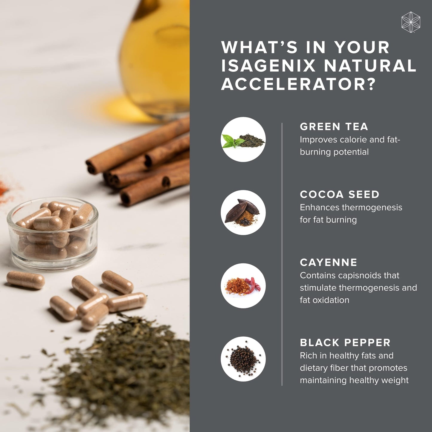 Isagenix Natural Accelerator New Blend Supports Enhanced Metabolism Features Sinetrol