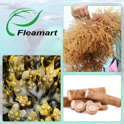 Fleamart Irish Sea Moss Capsules 120ct Raw Organic Sea Moss Wildcrafted Bladderwrack