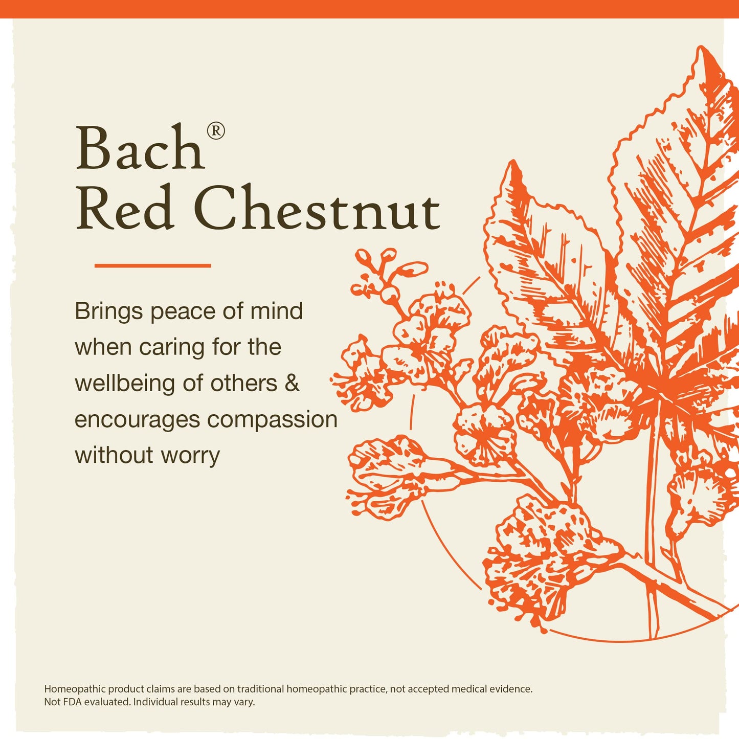 Bach Original Flower Remedies, Red Chestnut for Peace of Mind (Non-Alcohol Formula)