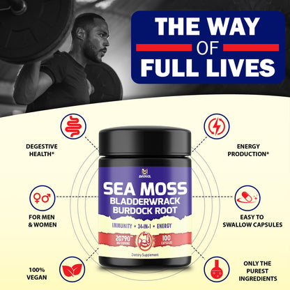 BMVINVOL 100 Capsules - Sea Moss Capsules 20790mg with Bladderwrack, Burdock