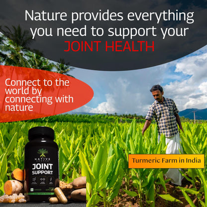 Native Source Joint Support Supplement - Turmeric - Tamarind - Boswellia - Fenugreek