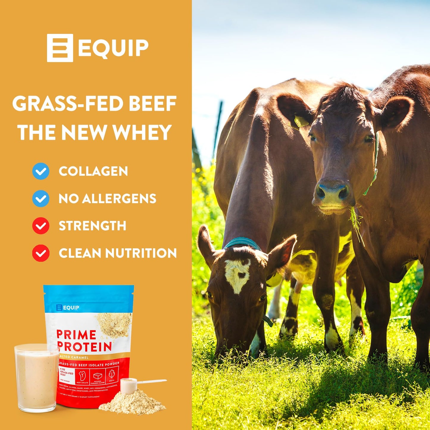 Equip Foods Prime Protein - Grass Fed Beef Protein Powder Isolate - Paleo and Keto