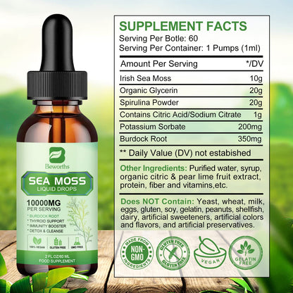 B BEWORTHS Sea Moss Liquid Drops - Organic Irish Sea Moss Gel with Burdock Root