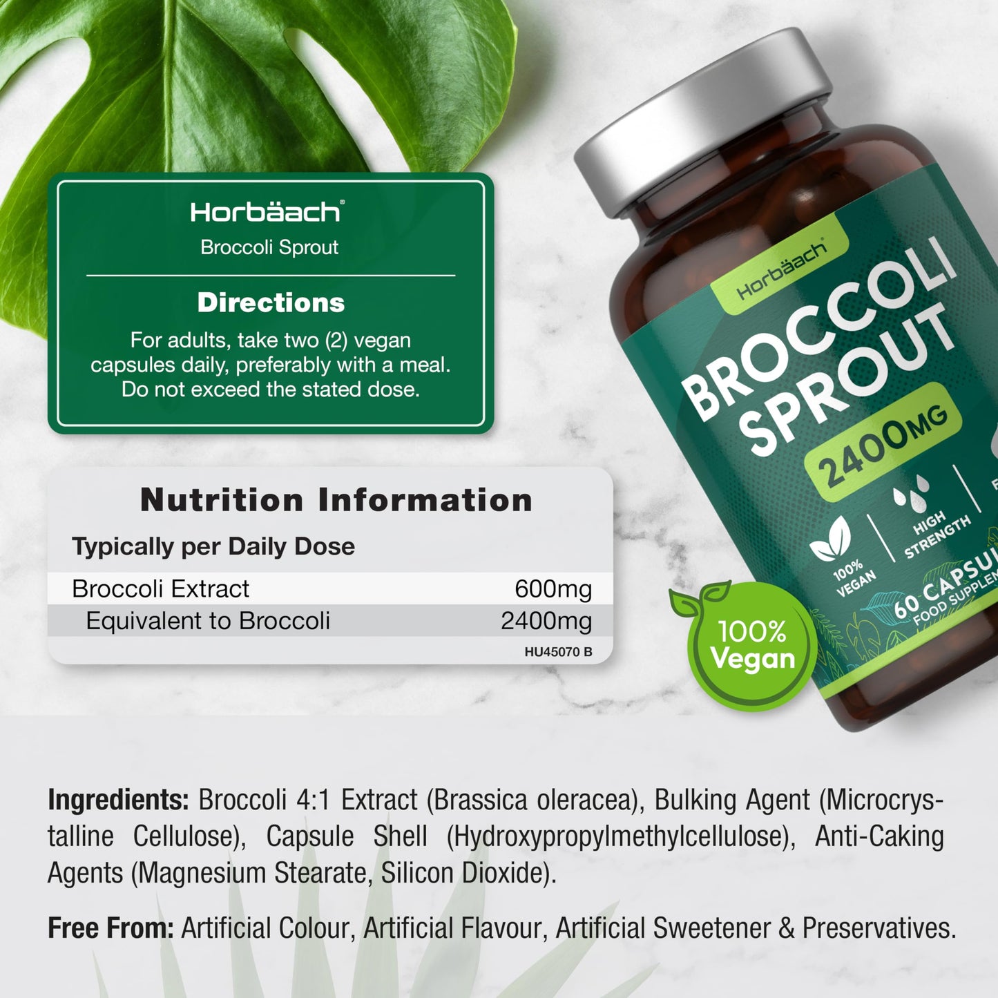 Broccoli Sprout Extract | Activated Sulforaphane Supplement | 2400mg Capsules | 60 Ct