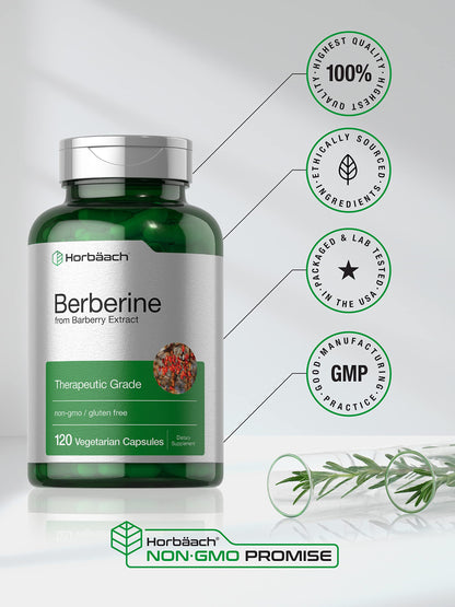 Berberine Supplement | 120 Capsules | Berberine HCl from Barberry Extract | Non-GMO