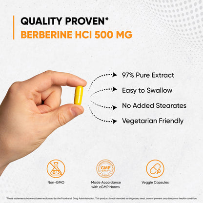 Sandhu's Berberine HCL Supplement 500mg per capsule with 97% Pure Berberis Aristata