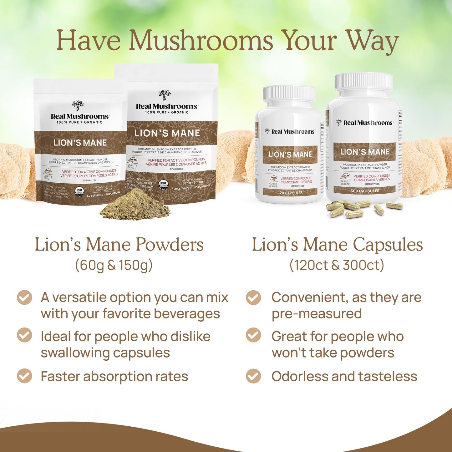 Lions Mane Mushroom Cognition Capsules (120 Capsules) Lions Mane Mushroom Powder