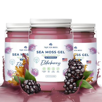 TrueSeaMoss Wildcrafted Irish Sea Moss Gel – Nutritious Organic Raw Seamoss Rich 