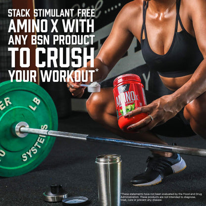 BSN Amino X Muscle Recovery & Endurance Powder with BCAAs, Intra Workout Support